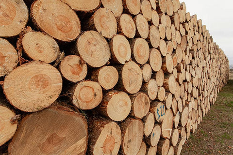 Certificazione fsc: cos'è e a cosa serve