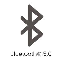 Icona bluetooth 5.0.jpg 