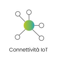 Icona connessione.jpg