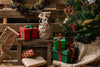 Natale sostenibile: decorazioni e regali ecosostenibili - Pensoinverde