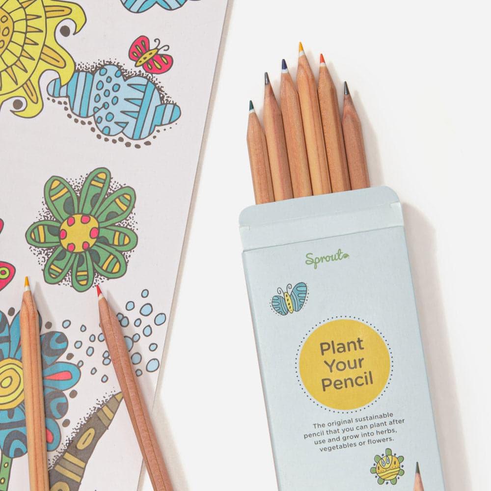 Eco Kit Sprout: 6 pastelli, 2 matite, album da colorare - Sprout