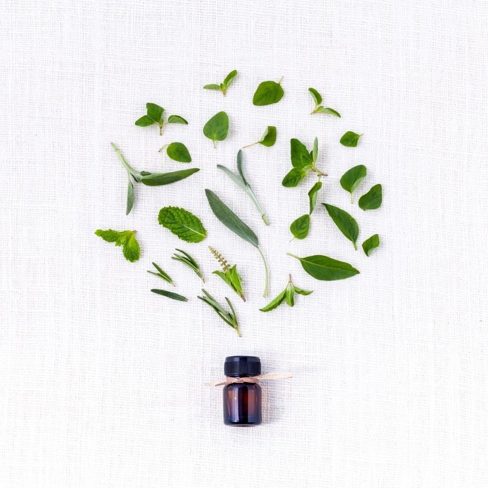 Olio essenziale di tea tree biologico, 30 ml - Bioearth