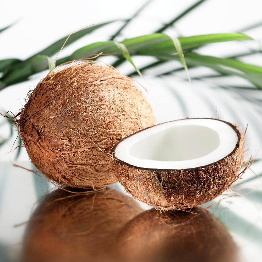 Hair Oil Coconut, 100 ml - Urtekram Beauty 2